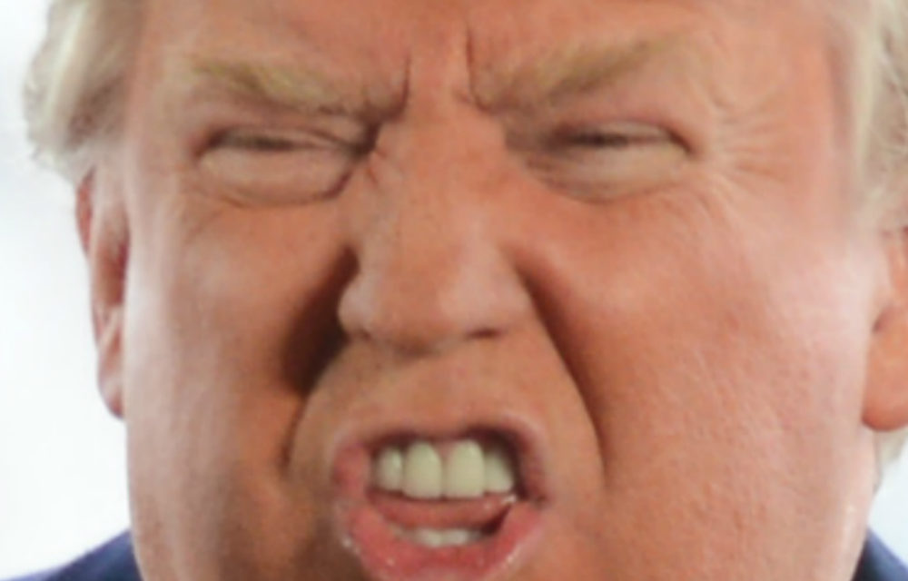 High Quality Trump squint grimace Blank Meme Template