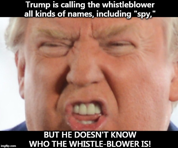 The limits of name-calling | Trump is calling the whistleblower all kinds of names, including "spy,"; BUT HE DOESN'T KNOW WHO THE WHISTLE-BLOWER IS! | image tagged in trump squint grimace beautiful,trump,name,spy,whistle-blower | made w/ Imgflip meme maker