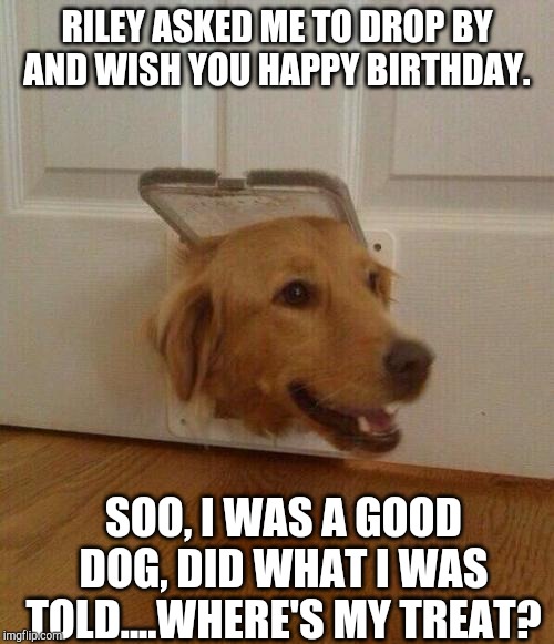 Dog door | RILEY ASKED ME TO DROP BY AND WISH YOU HAPPY BIRTHDAY. SOO, I WAS A GOOD DOG, DID WHAT I WAS TOLD....WHERE'S MY TREAT? | image tagged in dog door | made w/ Imgflip meme maker