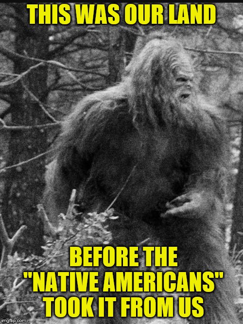 Big Foot lives matter! | THIS WAS OUR LAND; BEFORE THE "NATIVE AMERICANS" TOOK IT FROM US | image tagged in big foot,memes,immigration | made w/ Imgflip meme maker