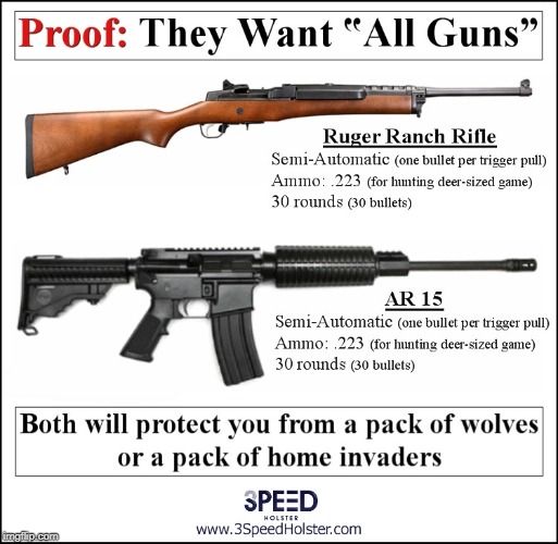 image tagged in assault rifle,assault weapons,gun control,guns,gun rights | made w/ Imgflip meme maker