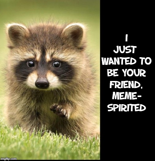 I JUST  WANTED TO BE YOUR FRIEND, MEME- SPIRITED | made w/ Imgflip meme maker