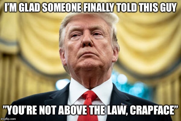 Just get rid of him, America | I’M GLAD SOMEONE FINALLY TOLD THIS GUY; ”YOU’RE NOT ABOVE THE LAW, CRAPFACE” | image tagged in donald trump | made w/ Imgflip meme maker
