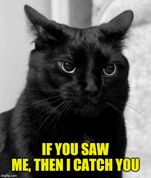 Black cat pissed | IF YOU SAW ME, THEN I CATCH YOU | image tagged in black cat pissed | made w/ Imgflip meme maker