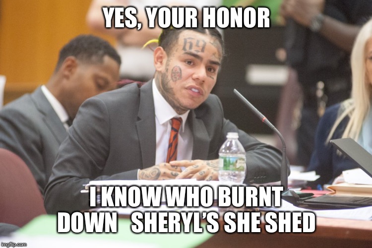 Tekashi 6ix9ine testifies | YES, YOUR HONOR; I KNOW WHO BURNT DOWN   SHERYL’S SHE SHED | image tagged in tekashi 6ix9ine testifies | made w/ Imgflip meme maker