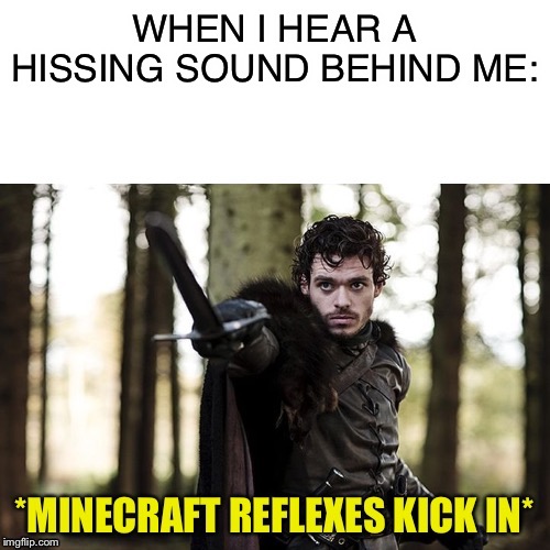 Minecraft Reflexes | WHEN I HEAR A HISSING SOUND BEHIND ME: | image tagged in minecraft reflexes | made w/ Imgflip meme maker