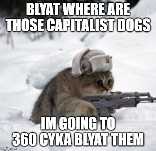 Russian Cat Meme