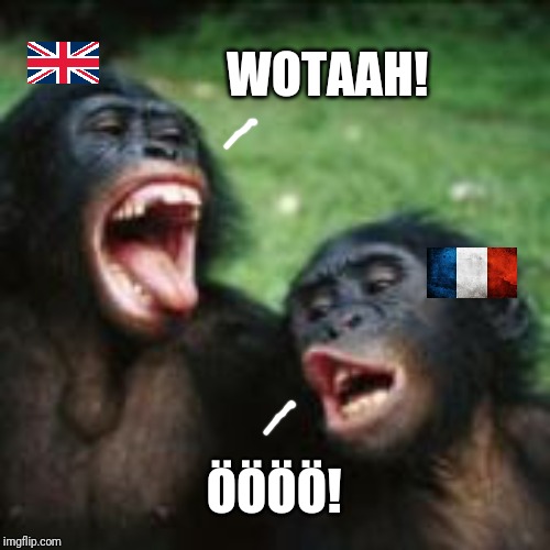 Singing monkeys | WOTAAH! ÖÖÖÖ! | image tagged in singing monkeys | made w/ Imgflip meme maker