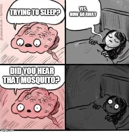 I would have liked to slept longer this morning, but the little bloodsucker had other ideas |  YES, NOW GO AWAY; TRYING TO SLEEP? DID YOU HEAR THAT MOSQUITO? | image tagged in trying to sleep | made w/ Imgflip meme maker