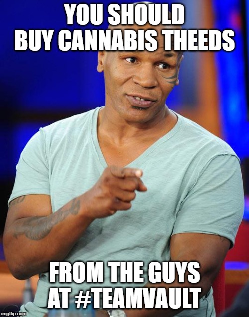 mike tyson | YOU SHOULD BUY CANNABIS THEEDS; FROM THE GUYS AT #TEAMVAULT | image tagged in mike tyson | made w/ Imgflip meme maker