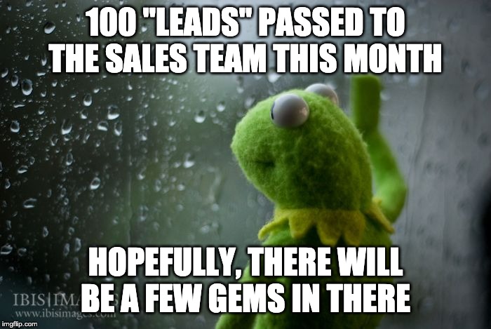 kermit window | 100 "LEADS" PASSED TO THE SALES TEAM THIS MONTH; HOPEFULLY, THERE WILL BE A FEW GEMS IN THERE | image tagged in kermit window | made w/ Imgflip meme maker