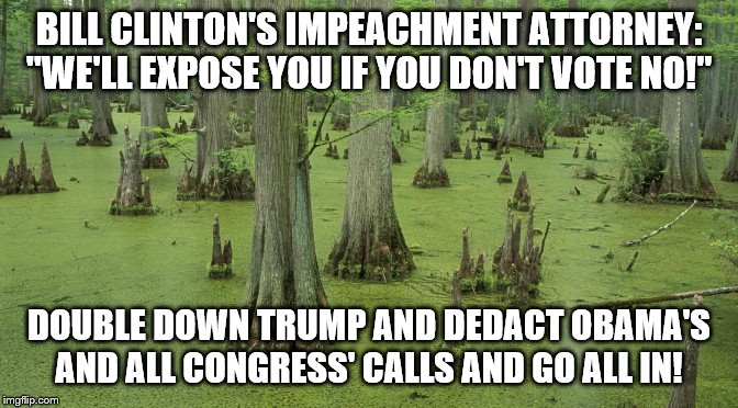 swamp | BILL CLINTON'S IMPEACHMENT ATTORNEY: "WE'LL EXPOSE YOU IF YOU DON'T VOTE NO!"; DOUBLE DOWN TRUMP AND DEDACT OBAMA'S AND ALL CONGRESS' CALLS AND GO ALL IN! | image tagged in swamp | made w/ Imgflip meme maker