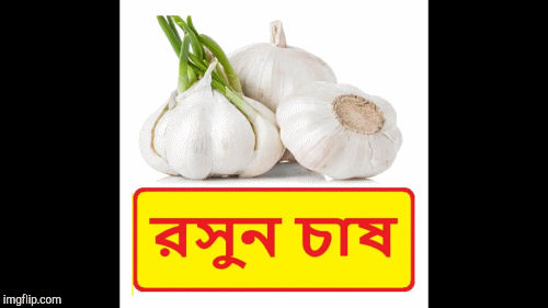 Hindi Garlic! | image tagged in gifs,food | made w/ Imgflip images-to-gif maker