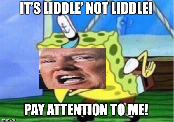Mocking Trump | IT’S LIDDLE’ NOT LIDDLE! PAY ATTENTION TO ME! | image tagged in mocking spongebob,mocking trump,liddle,donald trump is an idiot,trump is a moron,politics | made w/ Imgflip meme maker