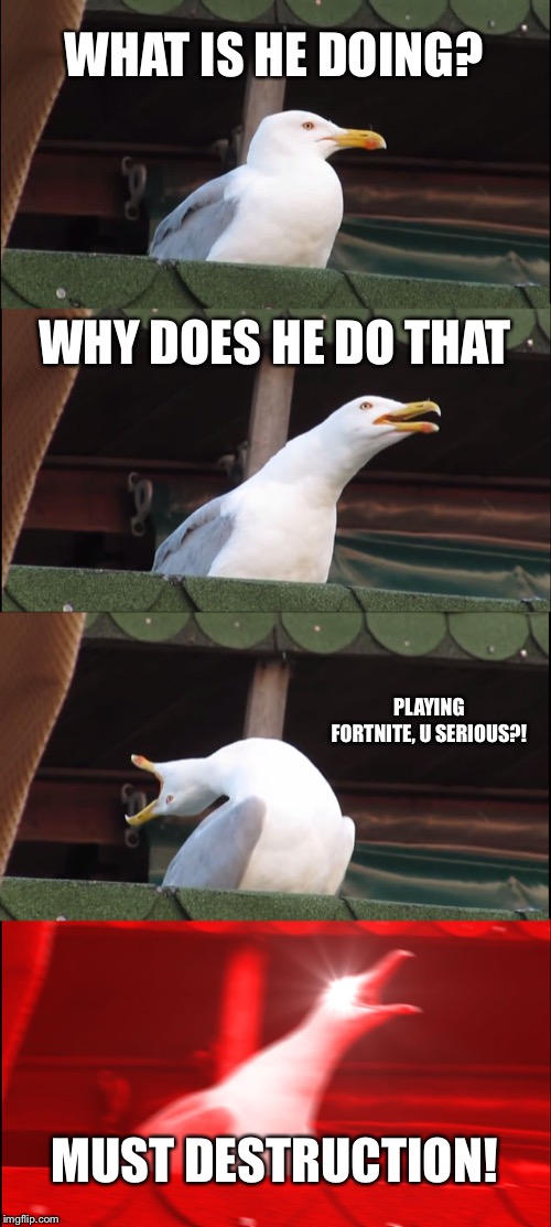Inhaling Seagull Meme |  WHAT IS HE DOING? WHY DOES HE DO THAT; PLAYING FORTNITE, U SERIOUS?! MUST DESTRUCTION! | image tagged in memes,inhaling seagull | made w/ Imgflip meme maker
