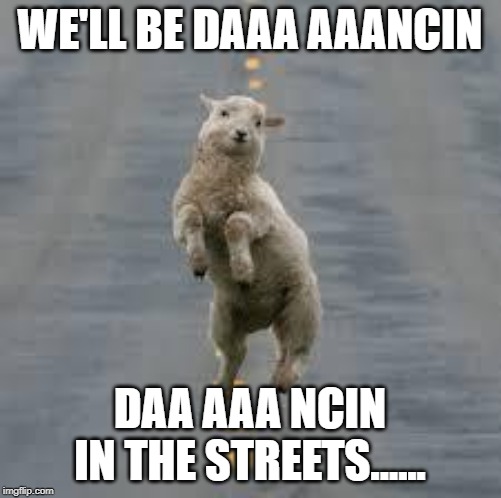 dancing sheep | WE'LL BE DAAA AAANCIN DAA AAA NCIN IN THE STREETS...... | image tagged in dancing sheep | made w/ Imgflip meme maker