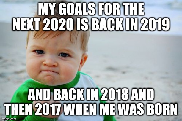 Success Kid Original Meme | MY GOALS FOR THE NEXT 2020 IS BACK IN 2019; AND BACK IN 2018 AND THEN 2017 WHEN ME WAS BORN | image tagged in memes,success kid original | made w/ Imgflip meme maker