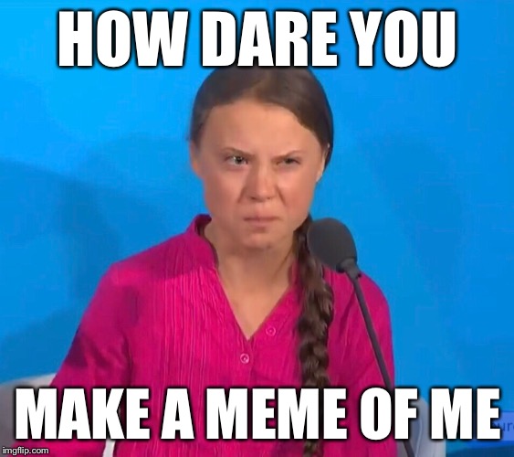 Greta | HOW DARE YOU; MAKE A MEME OF ME | image tagged in how dare you | made w/ Imgflip meme maker