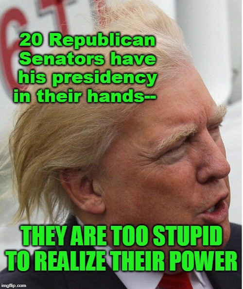Republican Senators | 20 Republican Senators have his presidency in their hands--; THEY ARE TOO STUPID TO REALIZE THEIR POWER | image tagged in republicans | made w/ Imgflip meme maker