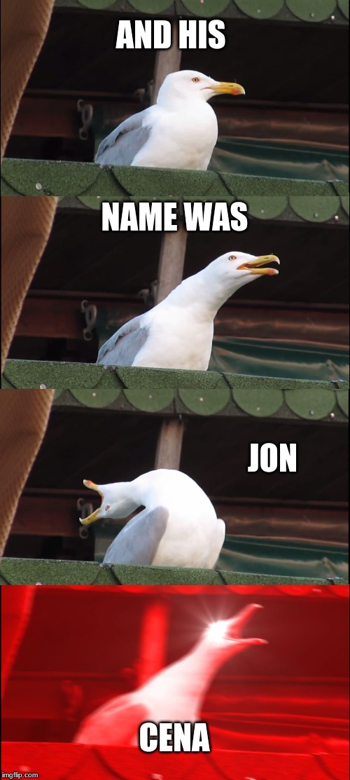 Inhaling Seagull Meme | AND HIS; NAME WAS; JON; CENA | image tagged in memes,inhaling seagull | made w/ Imgflip meme maker