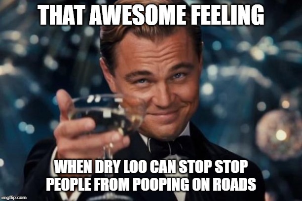 Leonardo Dicaprio Cheers | THAT AWESOME FEELING; WHEN DRY LOO CAN STOP STOP PEOPLE FROM POOPING ON ROADS | image tagged in memes,leonardo dicaprio cheers | made w/ Imgflip meme maker