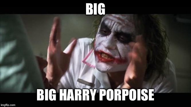 And everybody loses their minds | BIG; BIG HARRY PORPOISE | image tagged in memes,and everybody loses their minds | made w/ Imgflip meme maker
