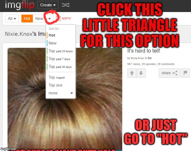 CLICK THIS LITTLE TRIANGLE FOR THIS OPTION OR JUST GO TO "HOT" | made w/ Imgflip meme maker