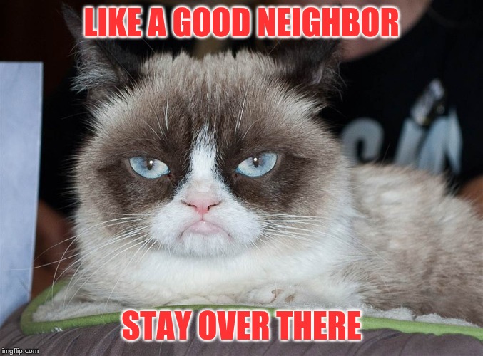 The Grumpy Cat State Farm jingle | LIKE A GOOD NEIGHBOR; STAY OVER THERE | image tagged in nude | made w/ Imgflip meme maker