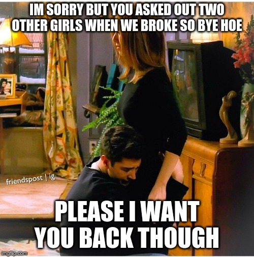 Ross Rachel Break Up | IM SORRY BUT YOU ASKED OUT TWO OTHER GIRLS WHEN WE BROKE SO BYE HOE; PLEASE I WANT YOU BACK THOUGH | image tagged in ross rachel break up | made w/ Imgflip meme maker