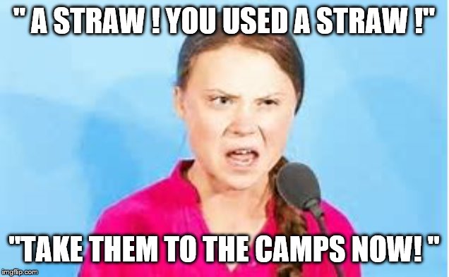 " A STRAW ! YOU USED A STRAW !"; "TAKE THEM TO THE CAMPS NOW! " | image tagged in democrats,environmental | made w/ Imgflip meme maker