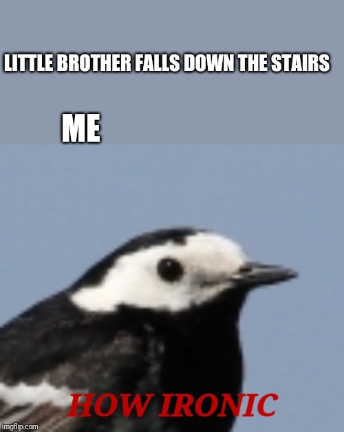 How ironic | LITTLE BROTHER FALLS DOWN THE STAIRS; ME | image tagged in how ironic | made w/ Imgflip meme maker