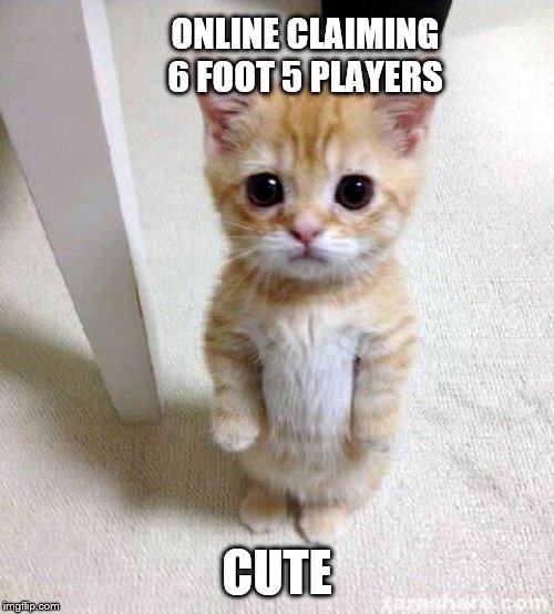 Cute Cat Meme | ONLINE CLAIMING 6 FOOT 5 PLAYERS; CUTE | image tagged in memes,cute cat | made w/ Imgflip meme maker