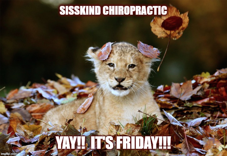 Yay! It';s Friday!!! | SISSKIND CHIROPRACTIC; YAY!!  IT'S FRIDAY!!! | image tagged in yay it's friday | made w/ Imgflip meme maker