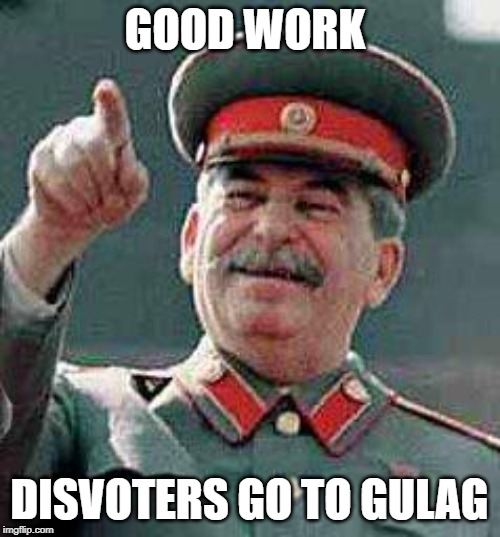 Stalin says | GOOD WORK DISVOTERS GO TO GULAG | image tagged in stalin says | made w/ Imgflip meme maker