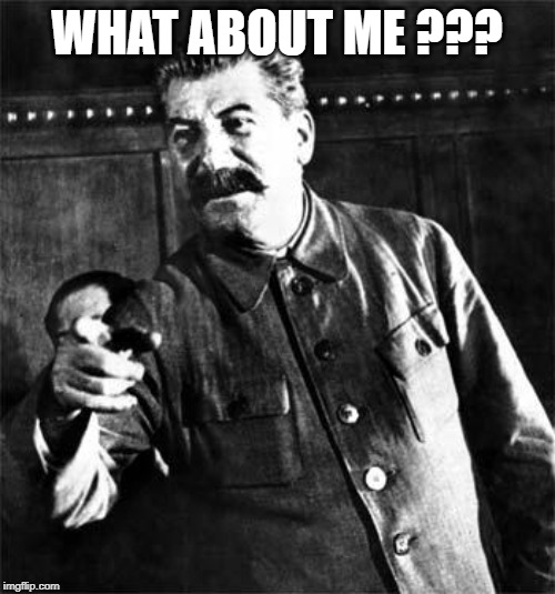 Stalin | WHAT ABOUT ME ??? | image tagged in stalin | made w/ Imgflip meme maker