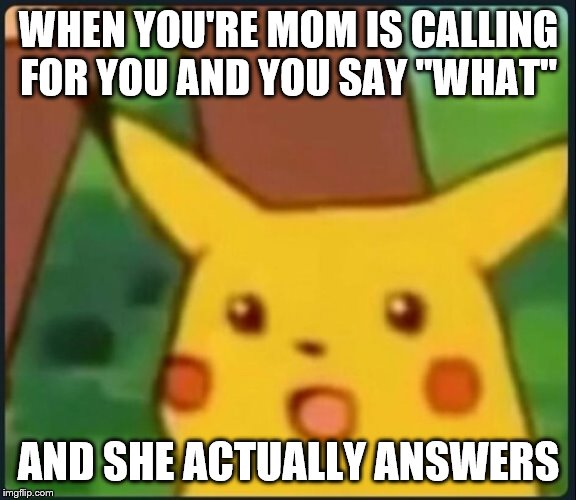 Surprised Pikachu | WHEN YOU'RE MOM IS CALLING FOR YOU AND YOU SAY "WHAT"; AND SHE ACTUALLY ANSWERS | image tagged in surprised pikachu | made w/ Imgflip meme maker