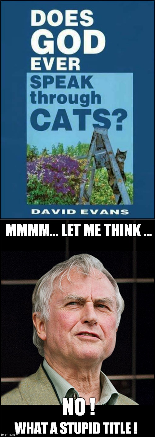 Some People  ... | MMMM... LET ME THINK ... NO ! WHAT A STUPID TITLE ! | image tagged in fun,richard dawkins | made w/ Imgflip meme maker