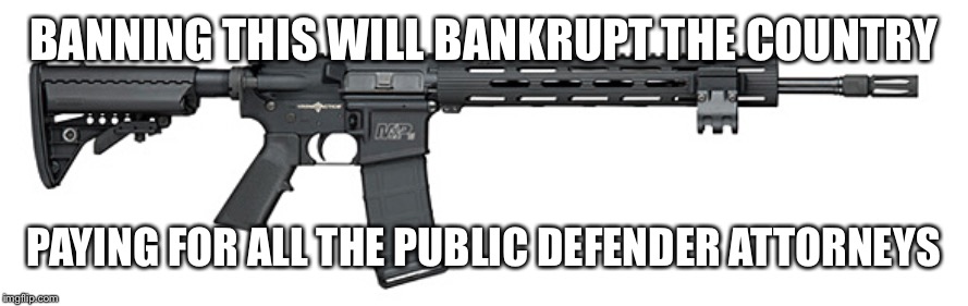 S&W Assault Rifle | BANNING THIS WILL BANKRUPT THE COUNTRY; PAYING FOR ALL THE PUBLIC DEFENDER ATTORNEYS | image tagged in sw assault rifle | made w/ Imgflip meme maker