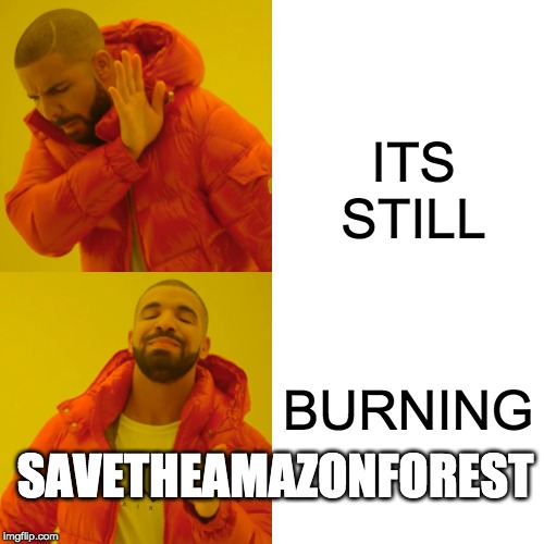 Drake Hotline Bling | ITS STILL; BURNING; SAVETHEAMAZONFOREST | image tagged in memes,drake hotline bling | made w/ Imgflip meme maker