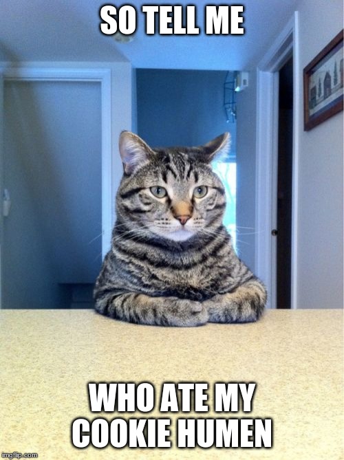 Take A Seat Cat | SO TELL ME; WHO ATE MY COOKIE HUMEN | image tagged in memes,take a seat cat,cute cat | made w/ Imgflip meme maker