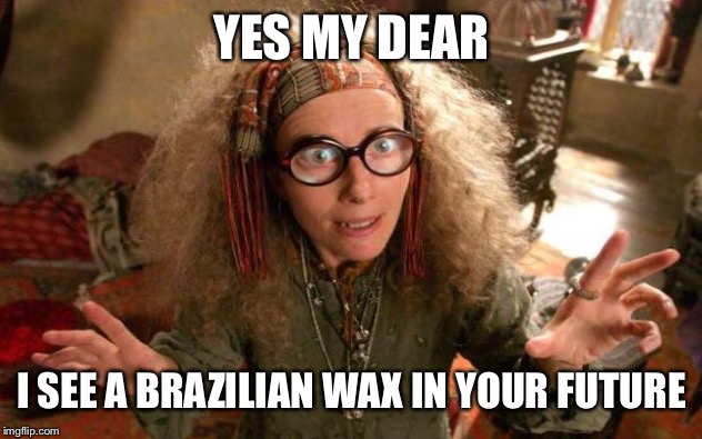 funny harry potter professor | YES MY DEAR; I SEE A BRAZILIAN WAX IN YOUR FUTURE | image tagged in funny harry potter professor | made w/ Imgflip meme maker