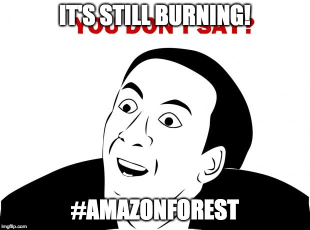 You Don't Say Meme | IT'S STILL BURNING! #AMAZONFOREST | image tagged in memes,you don't say | made w/ Imgflip meme maker