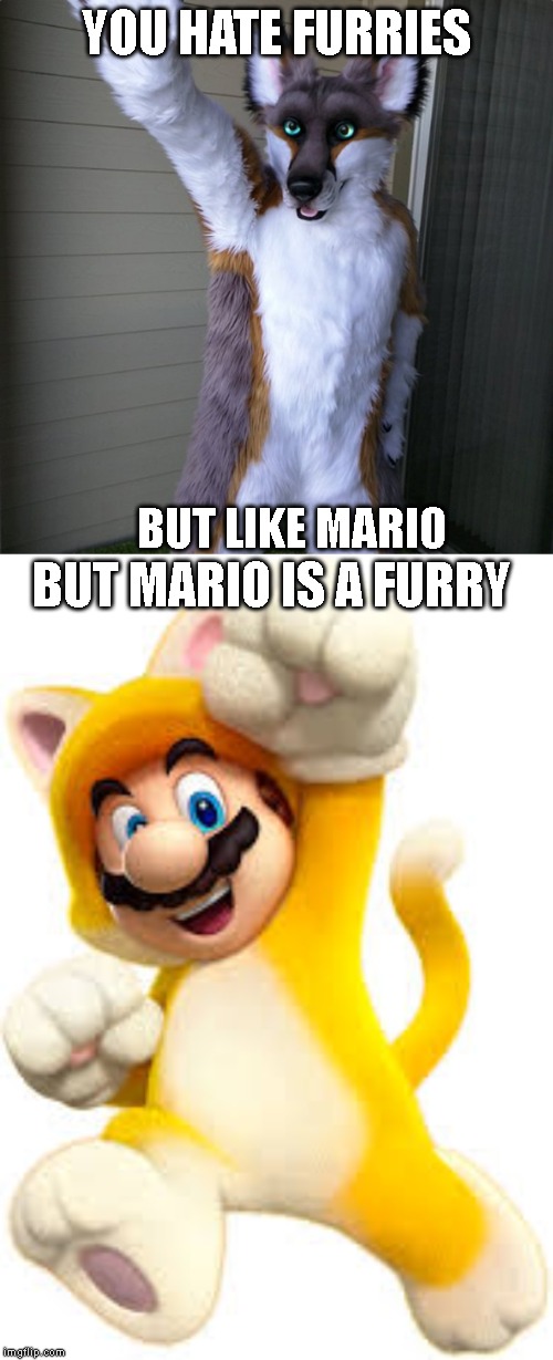 YOU HATE FURRIES; BUT LIKE MARIO; BUT MARIO IS A FURRY | image tagged in furry | made w/ Imgflip meme maker