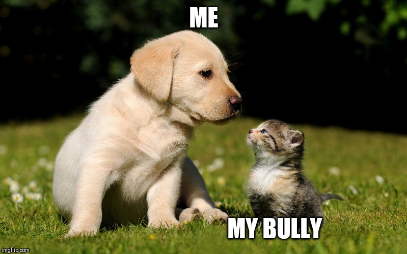 Me and You Is Friends - FB | ME; MY BULLY | image tagged in me and you is friends - fb | made w/ Imgflip meme maker