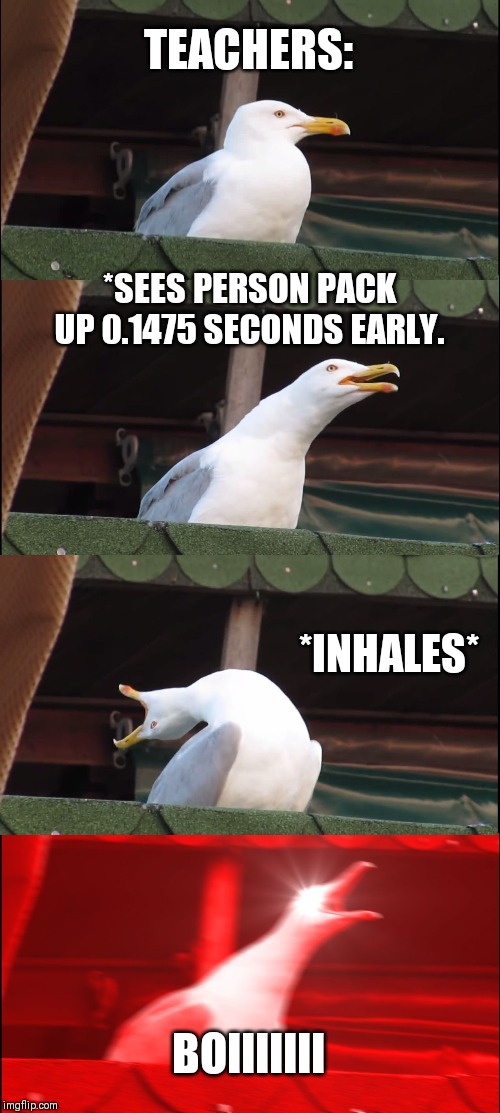 Inhaling Seagull | TEACHERS:; *SEES PERSON PACK UP 0.1475 SECONDS EARLY. *INHALES*; BOIIIIIII | image tagged in memes,inhaling seagull | made w/ Imgflip meme maker