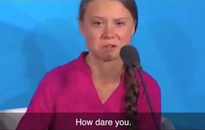 How Dare You Meme Greta ❤ Jimmyfungus.com: Greta Thunberg How Dare You! Reaction Gif