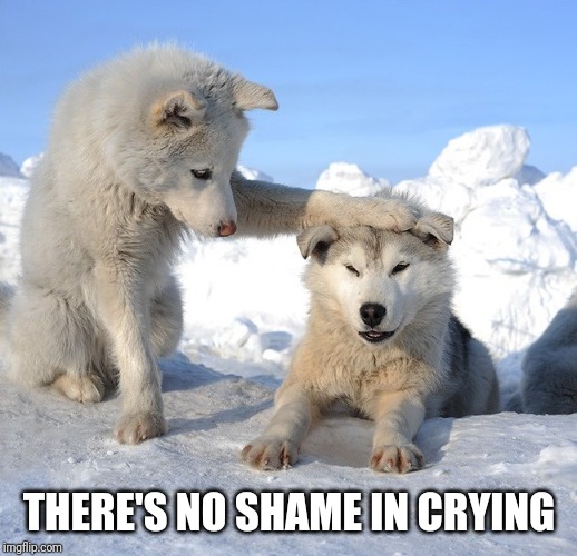 It's OK | THERE'S NO SHAME IN CRYING | image tagged in it's ok | made w/ Imgflip meme maker