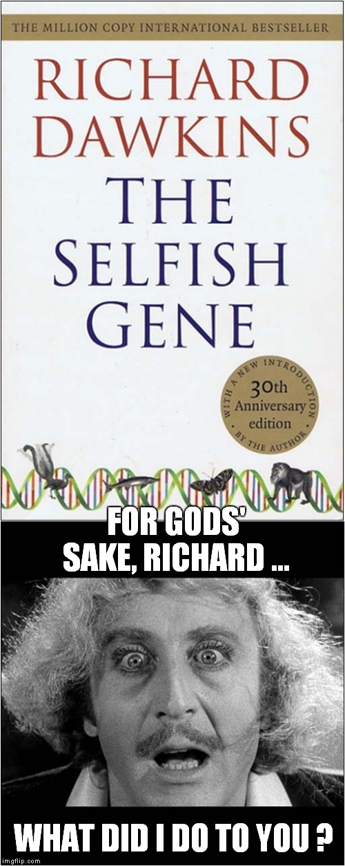 Selfish Gene Wilder | FOR GODS' SAKE, RICHARD ... WHAT DID I DO TO YOU ? | image tagged in fun,richard dawkins,gene wilder | made w/ Imgflip meme maker