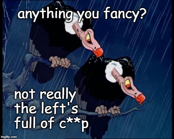 Disney Cartoon Vulture | anything you fancy? not really the left's full of c**p | image tagged in disney cartoon vulture | made w/ Imgflip meme maker