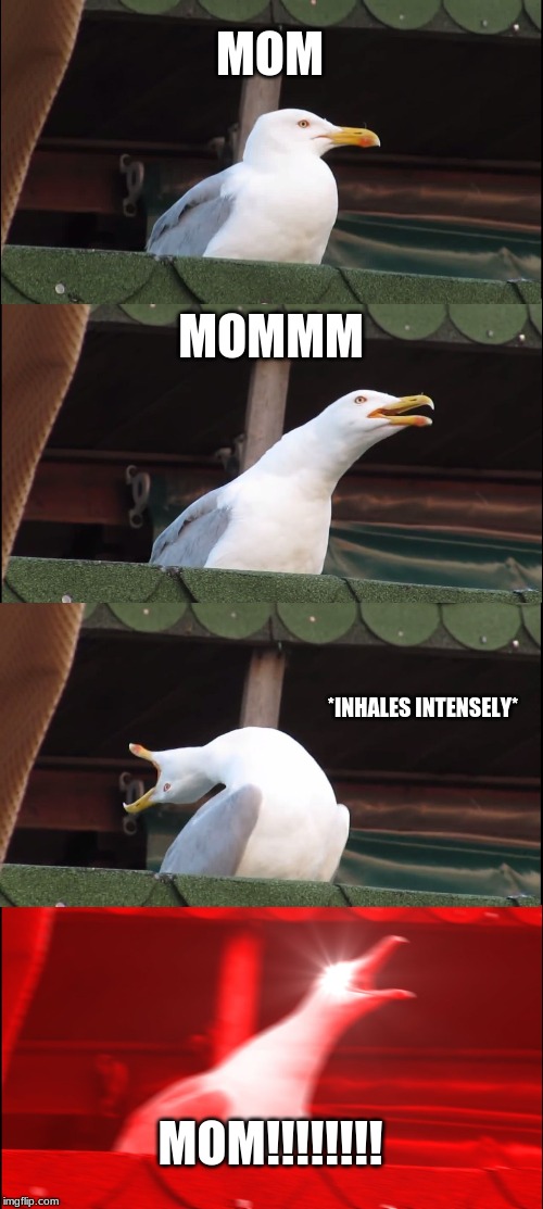 Inhaling Seagull Meme | MOM; MOMMM; *INHALES INTENSELY*; MOM!!!!!!!! | image tagged in memes,inhaling seagull | made w/ Imgflip meme maker